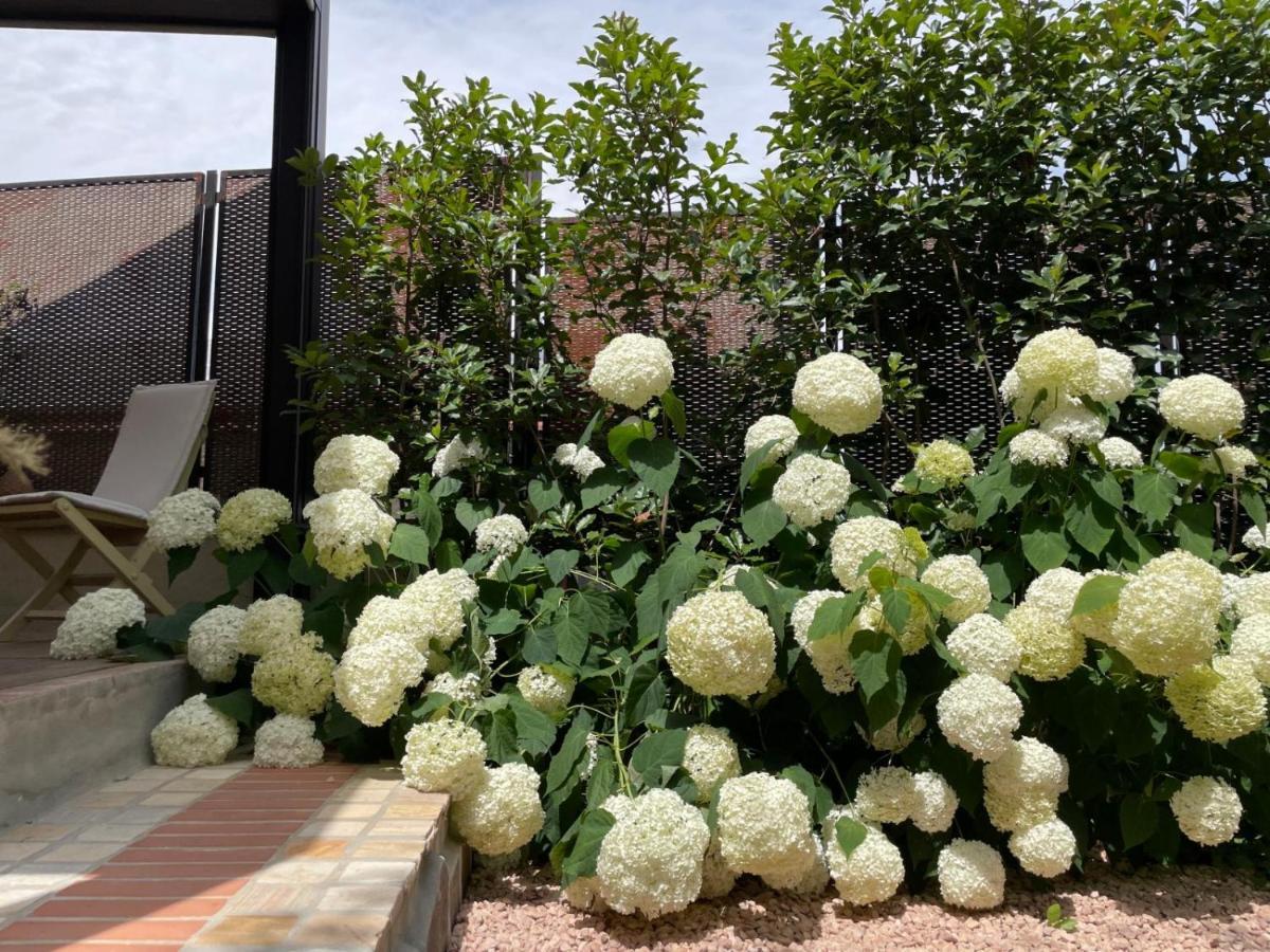 Borgata Cantone Country House B&B การ์เลนดา ภายนอก รูปภาพ