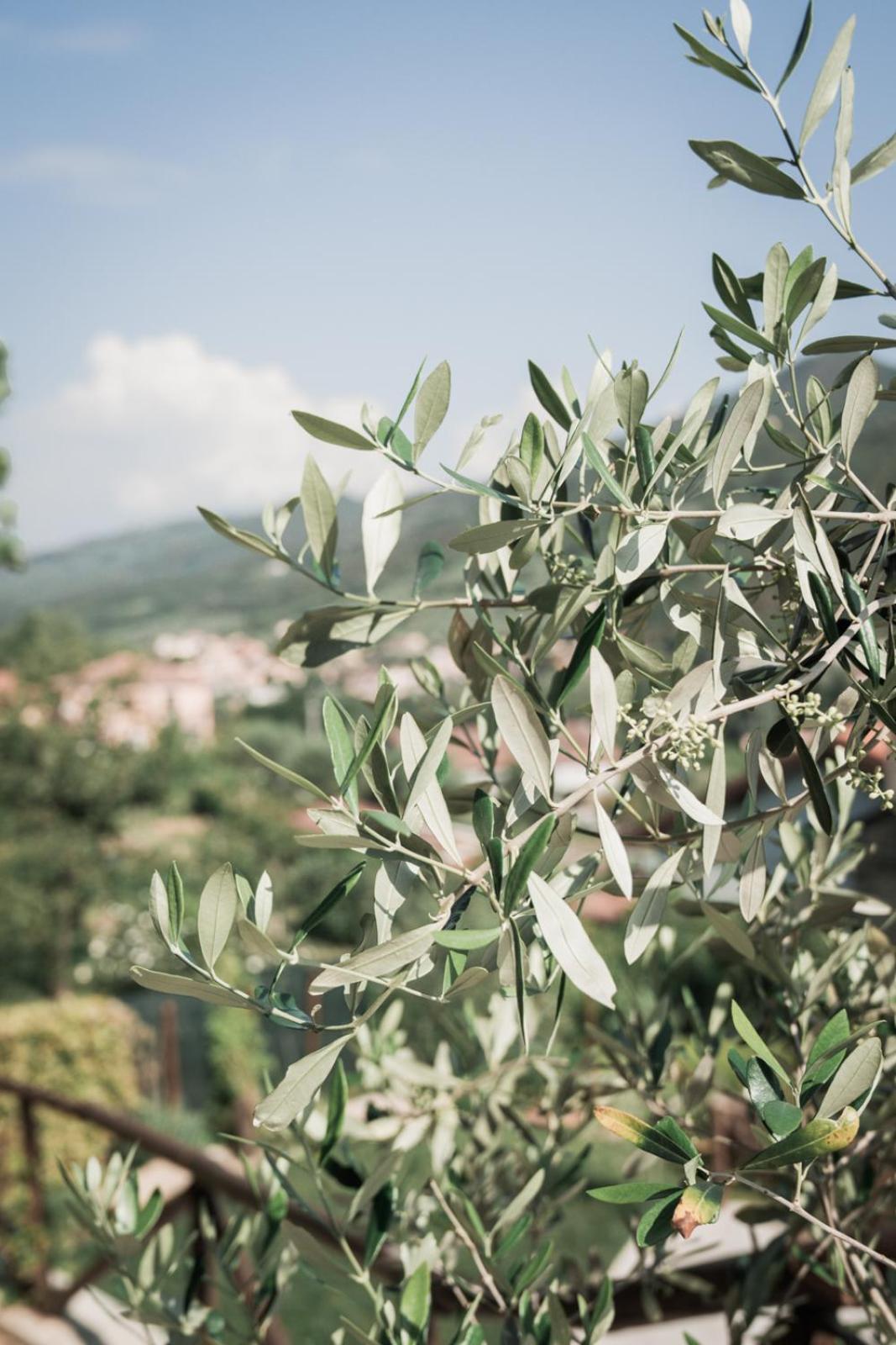 Borgata Cantone Country House B&B การ์เลนดา ภายนอก รูปภาพ